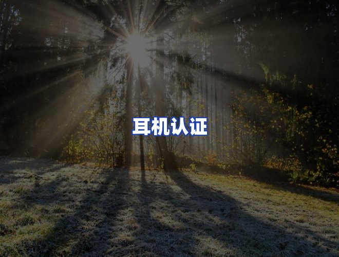 服务优势